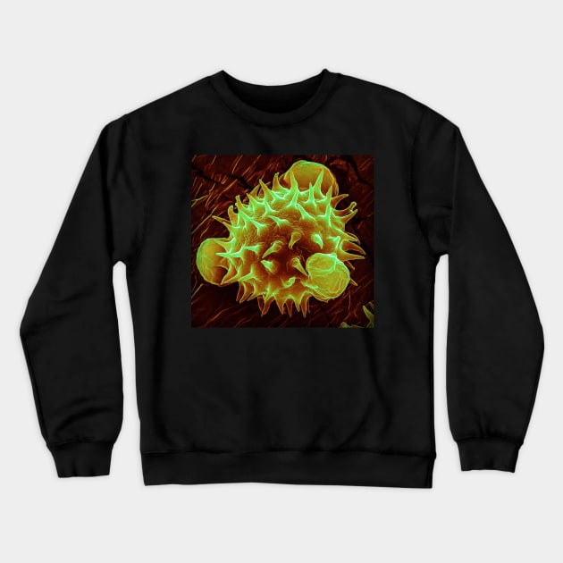 Pollen - Daisy (Orange) Crewneck Sweatshirt by DiatomsATTACK